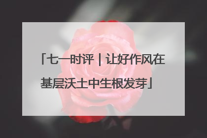 七一时评｜让好作风在基层沃土中生根发芽